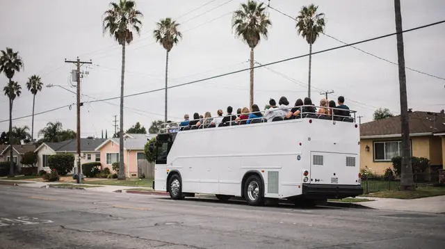 Sightseeing tours